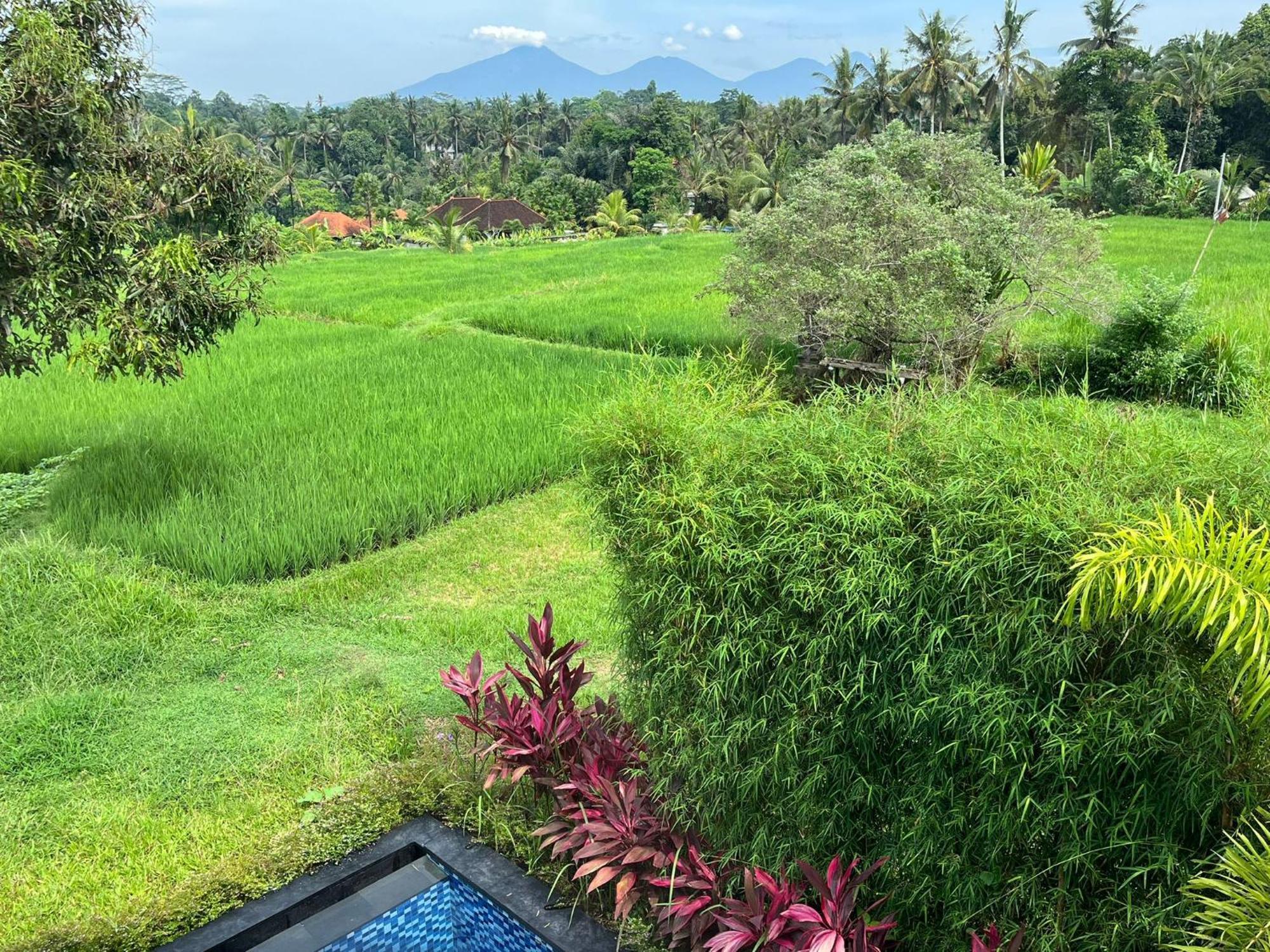 Maple Ridge Ubud Villas Exterior foto
